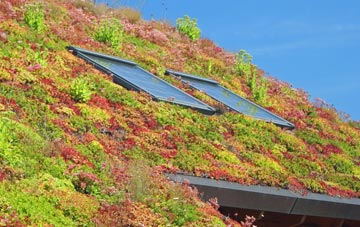 Wardour living roof systems