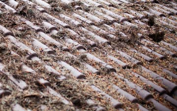 Wardour roof cleaning companies