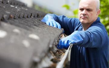cleaning and inspecting Wardour roofs